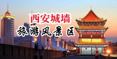 美女扒开无毛骚逼中国陕西-西安城墙旅游风景区