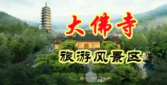 污污污少妇呻吟作爱免费视频中国浙江-新昌大佛寺旅游风景区